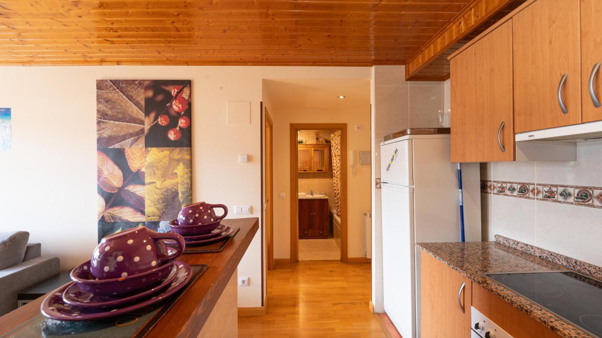 Apartamentos Formigal * Formigal