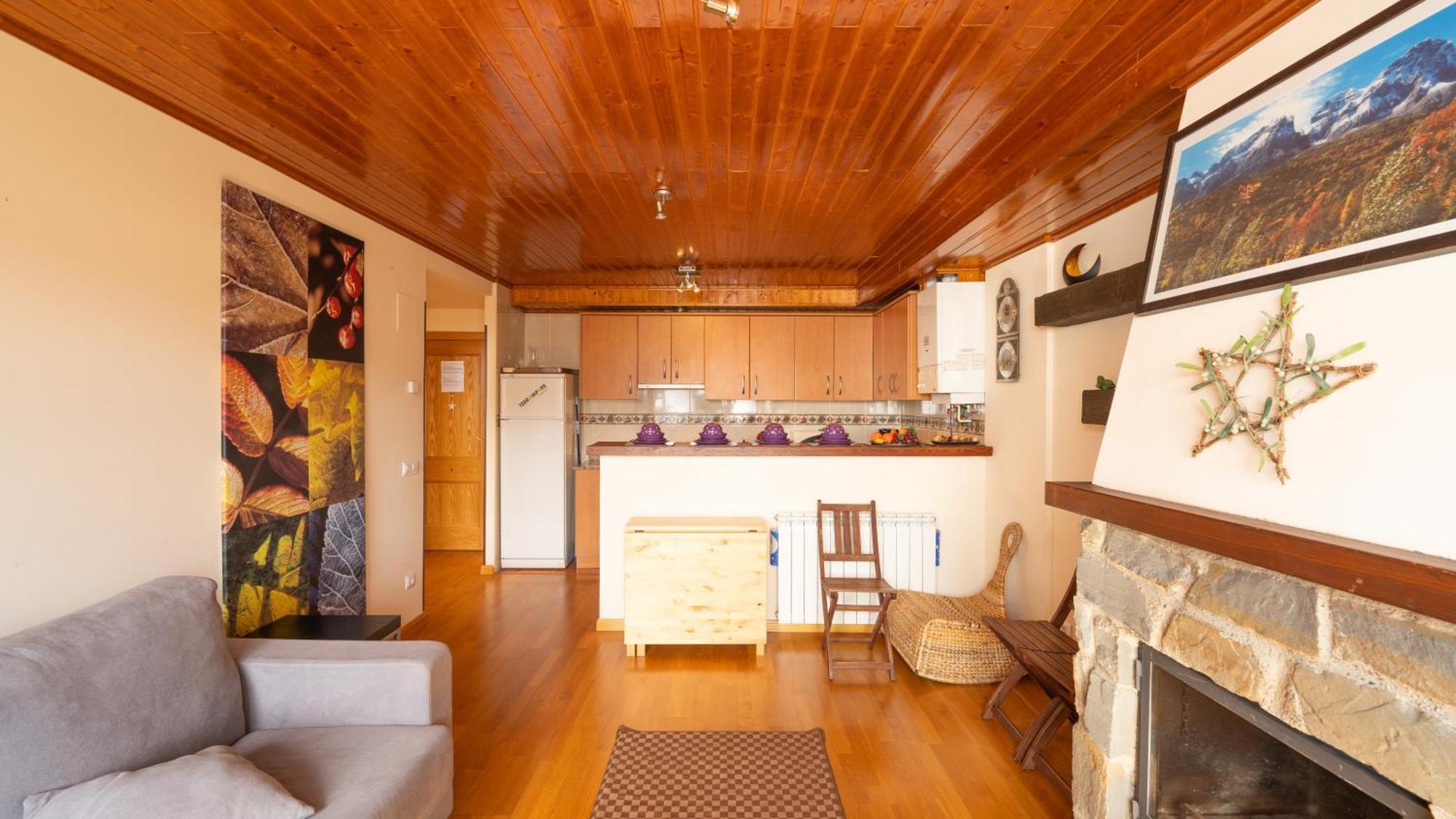 Apartment Apartamentos Formigal